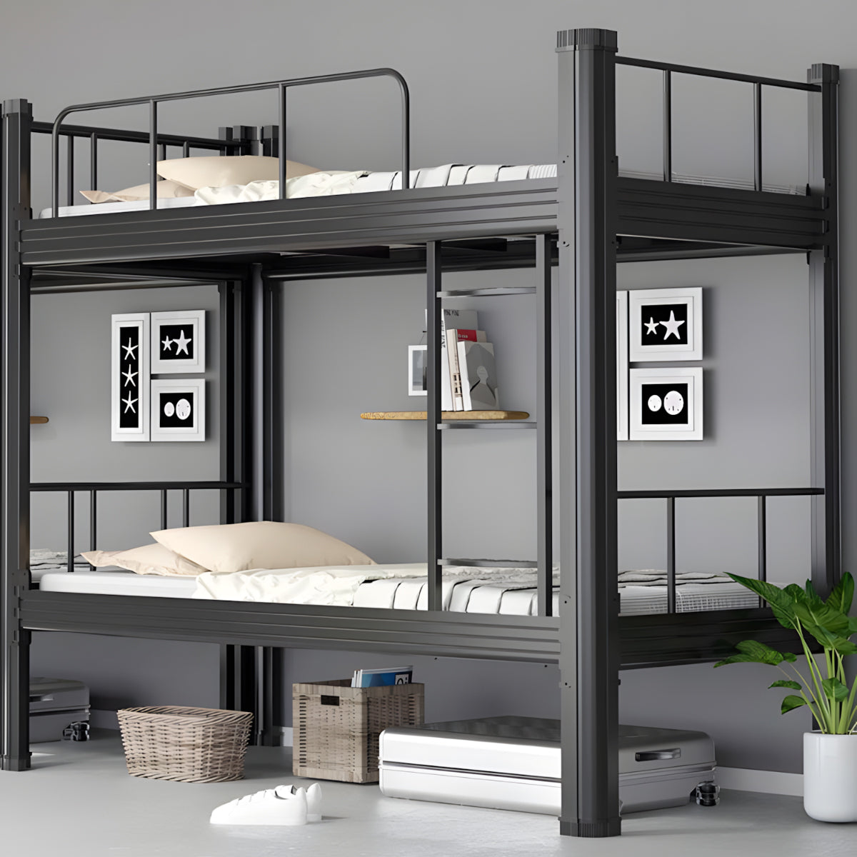 SCC-K066-_1_2560x.jpg?v=1749801570